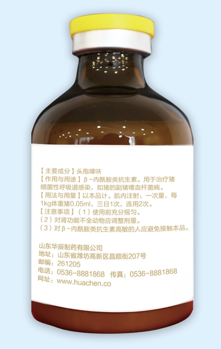 賽菲欣1.jpg